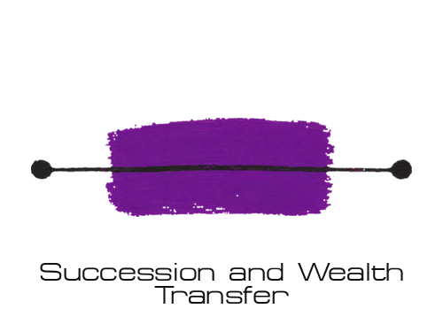 Succession and Wealth Transfer